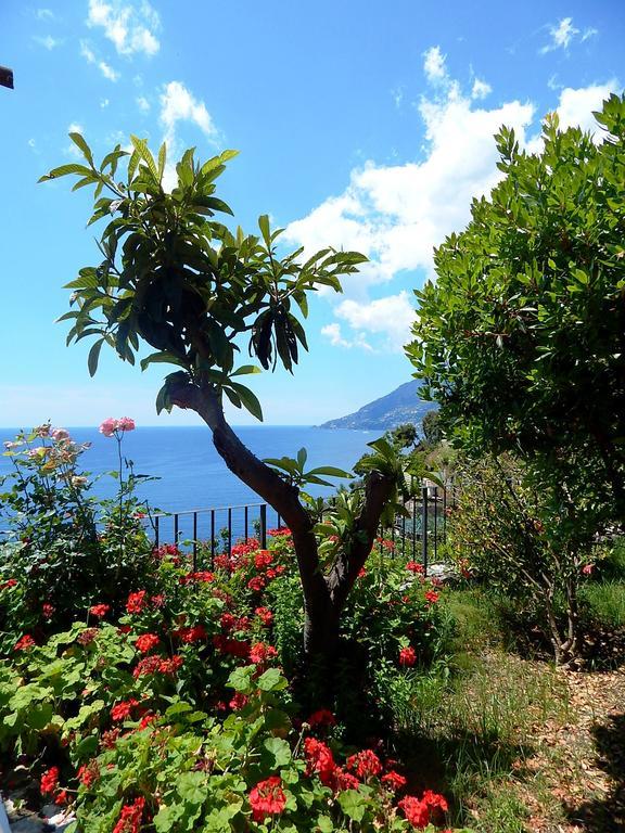 Amalfi View Cottage エクステリア 写真